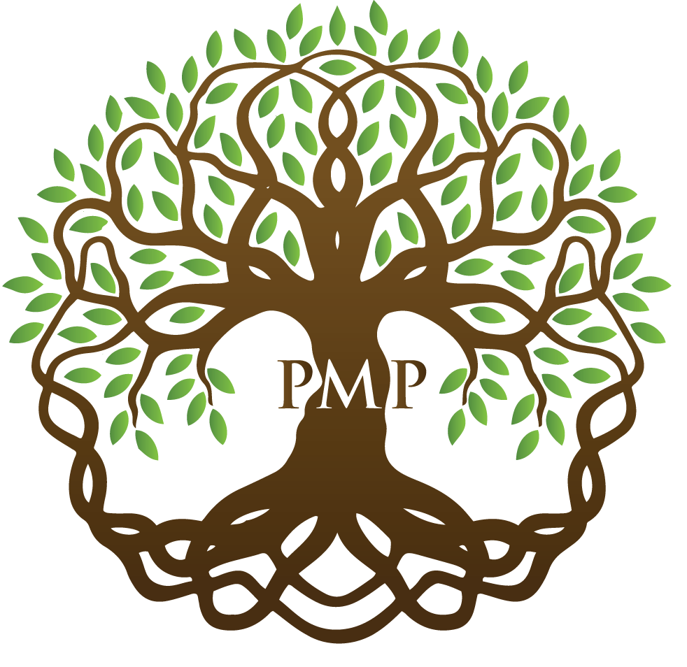 PMP logo