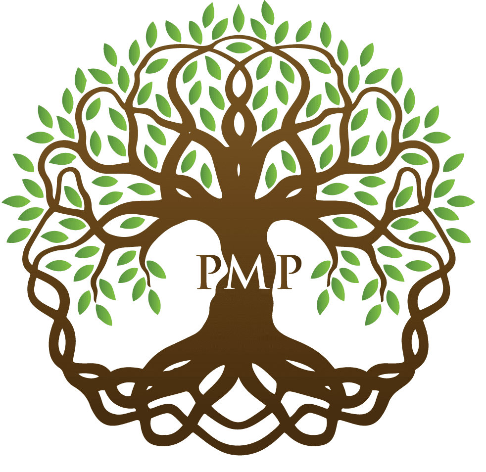 PMP logo